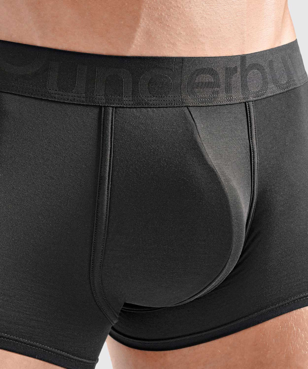 Padded Trunk Modal