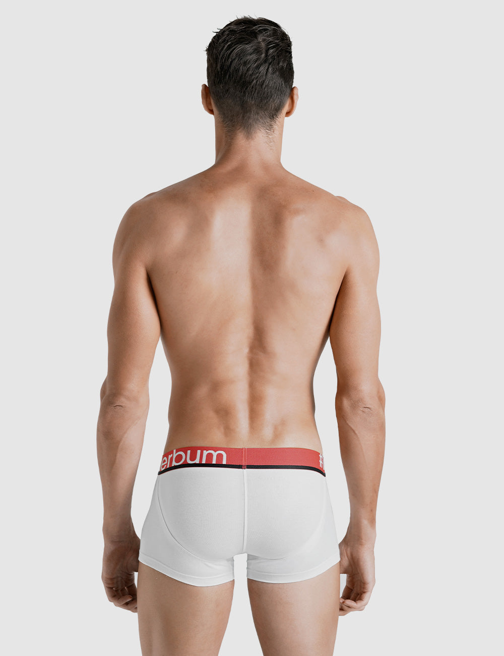 Lift My Day Trunk