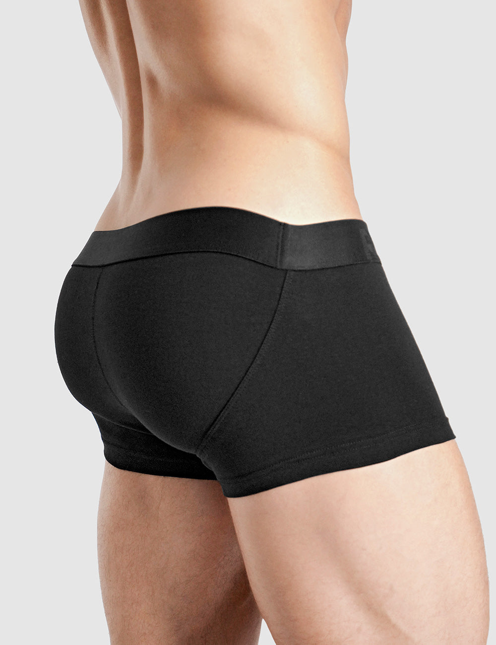 Basic Lift Trunk