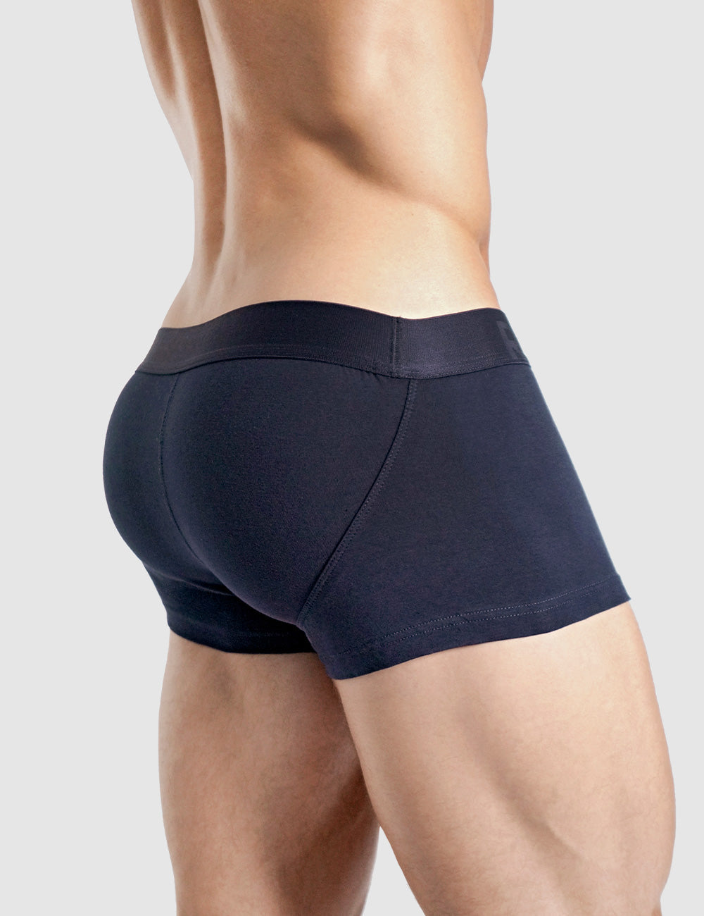 Basic Lift Trunk