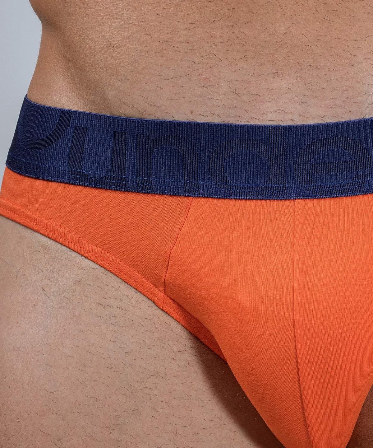 Brief