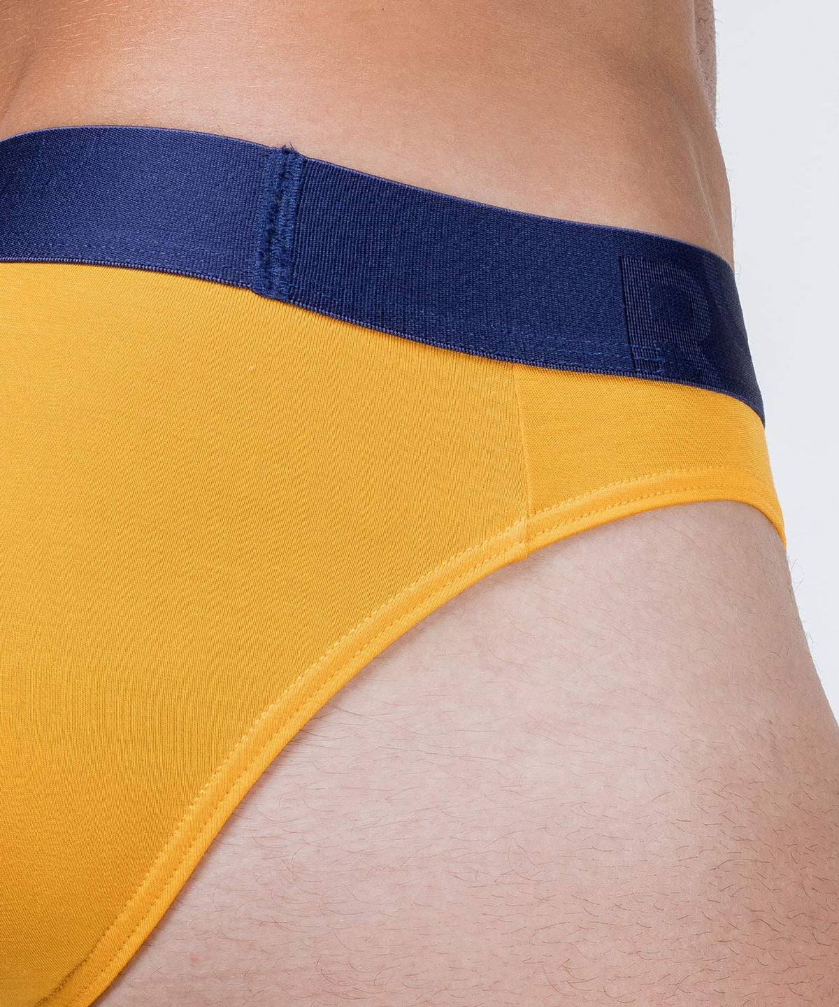 Brief