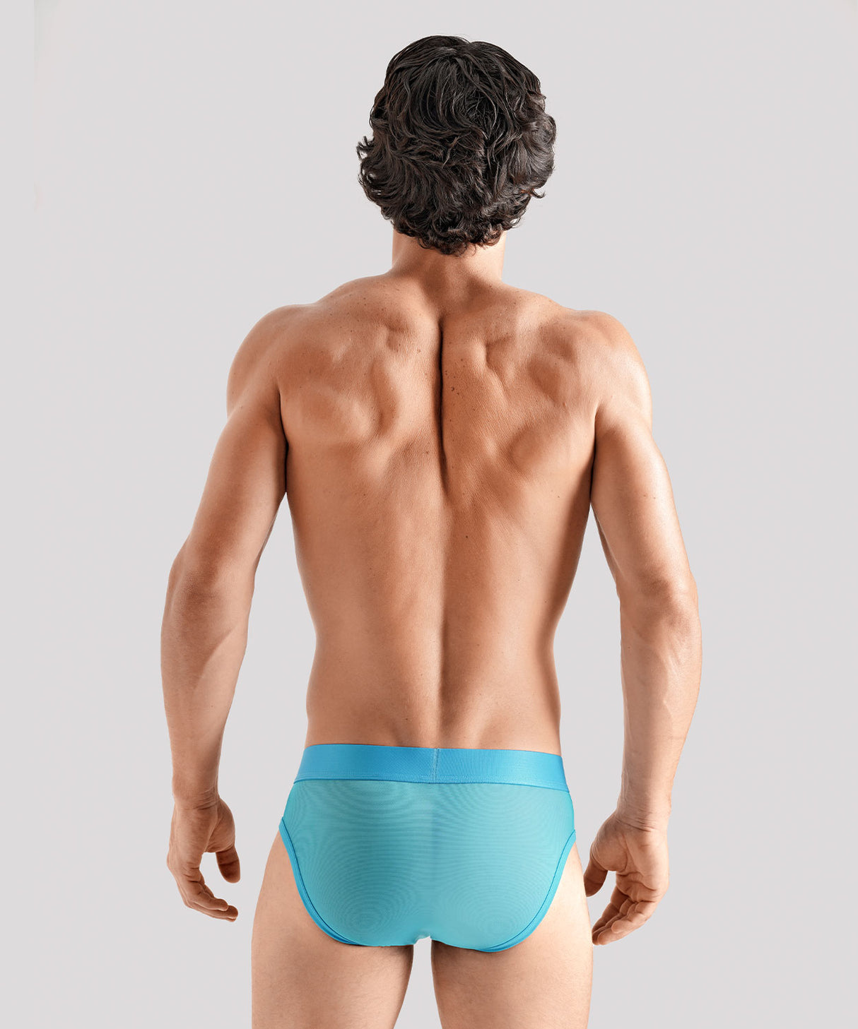 TRANSPARENT PRIDE Package Brief