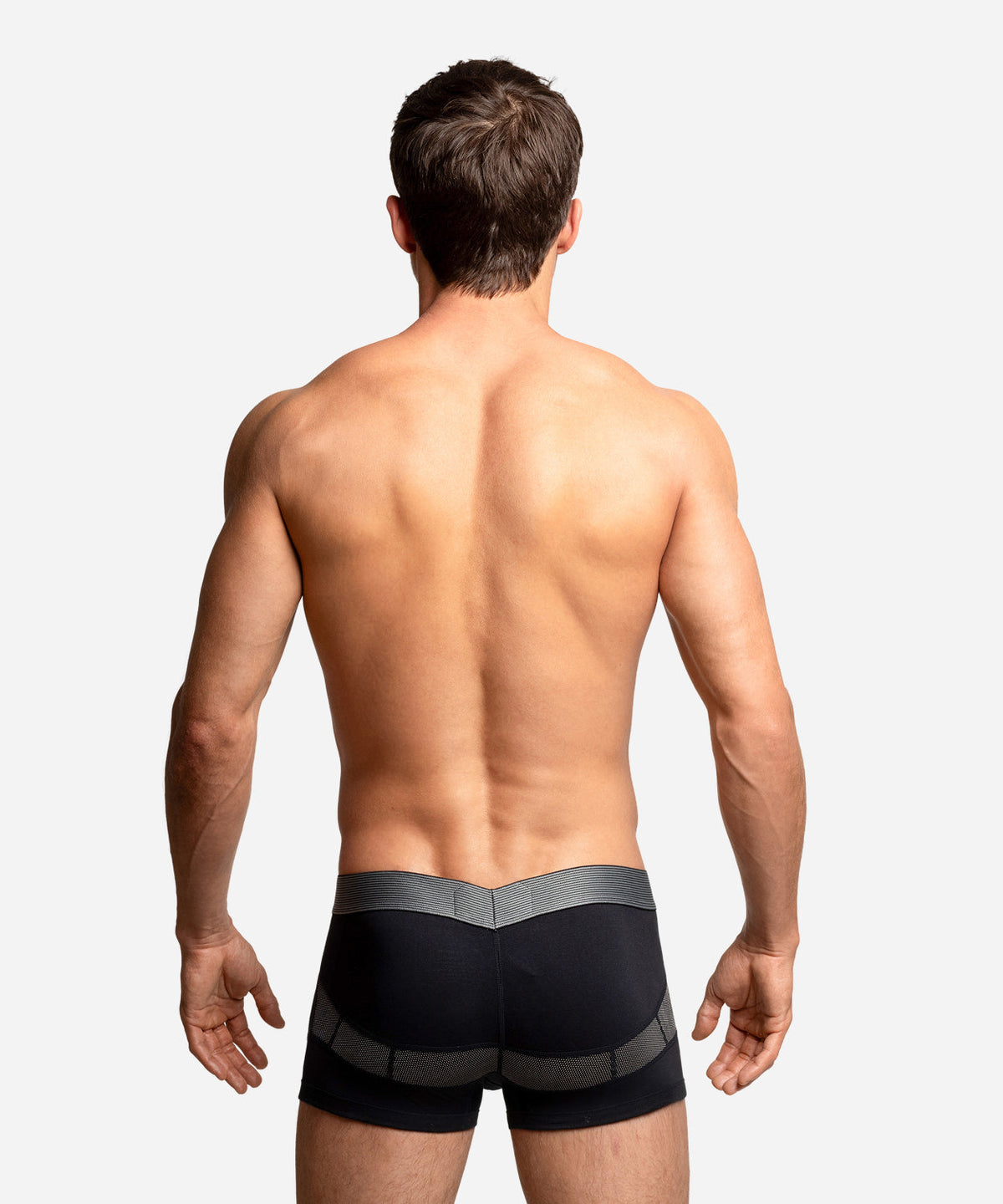 Anatomic Trunk