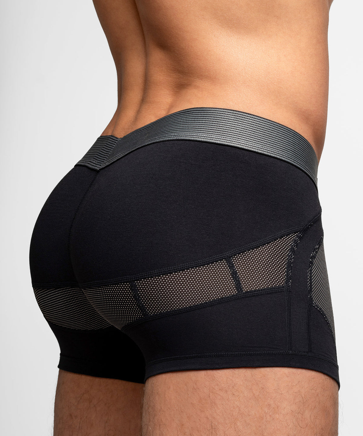 Anatomic Trunk