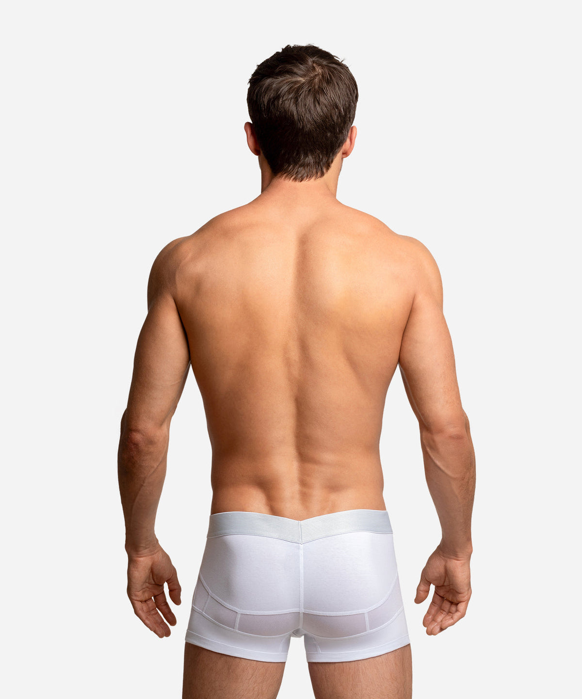 Anatomic Trunk