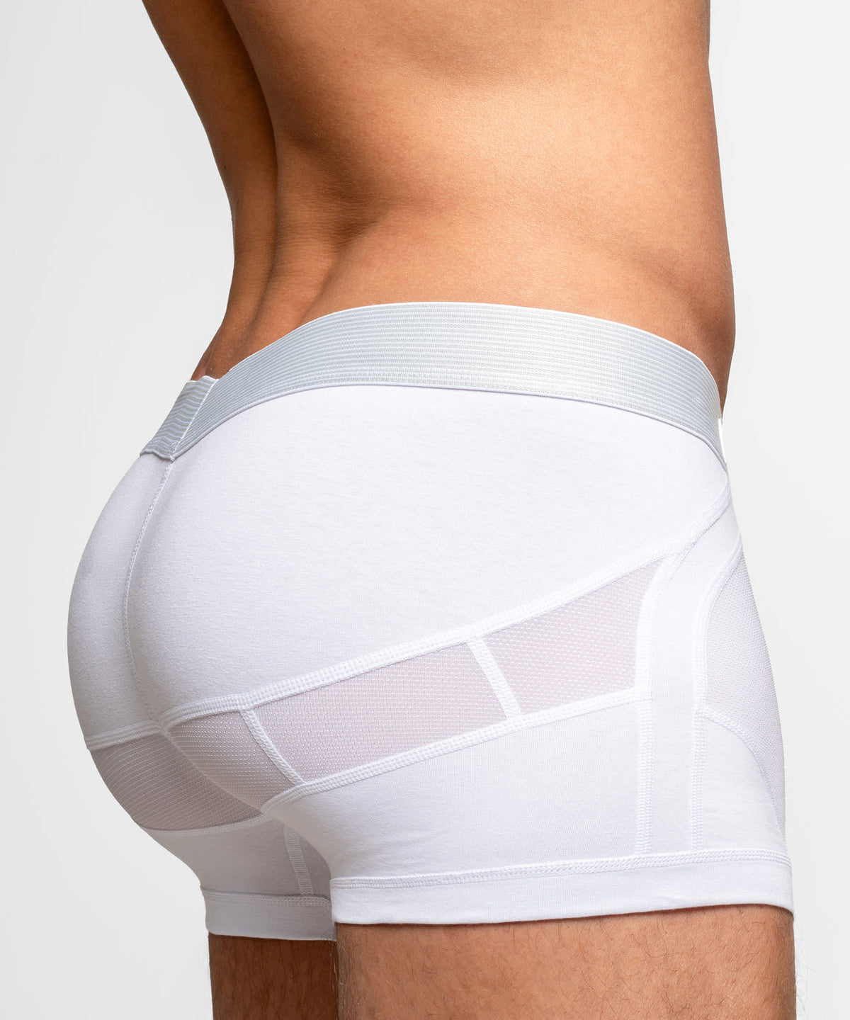 Anatomic Trunk
