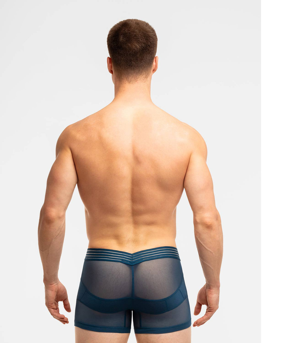 SEXY SUMMER NIGHTS Anatomic Hipster Trunk