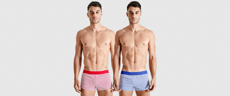 Boxers or Briefs? Let’s Find Out