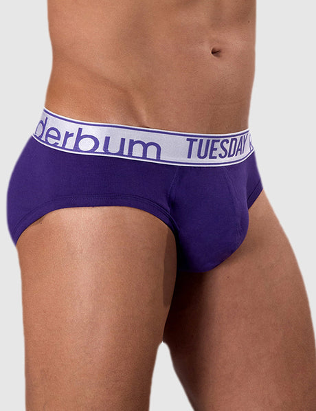 My New Daily Brief