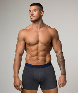 Boxer Brief Gris 2XL