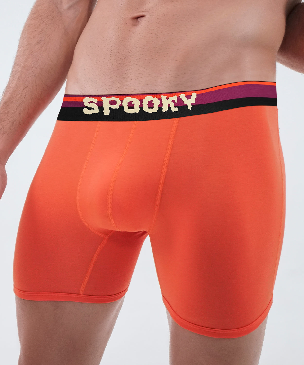 SPOOKY Boxer Brief