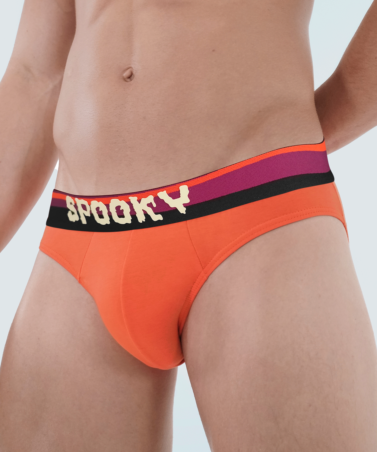 SPOOKY Brief