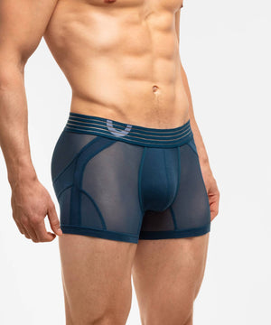 SEXY SUMMER NIGHTS Anatomic Hipster Trunk