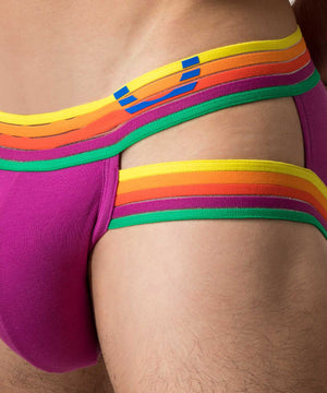 RAINBOW RUSH Lift Holster Brief