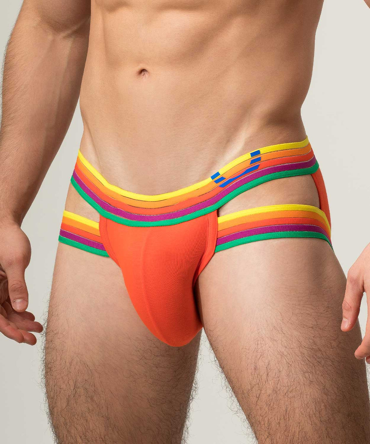 RAINBOW RUSH Lift Holster Brief