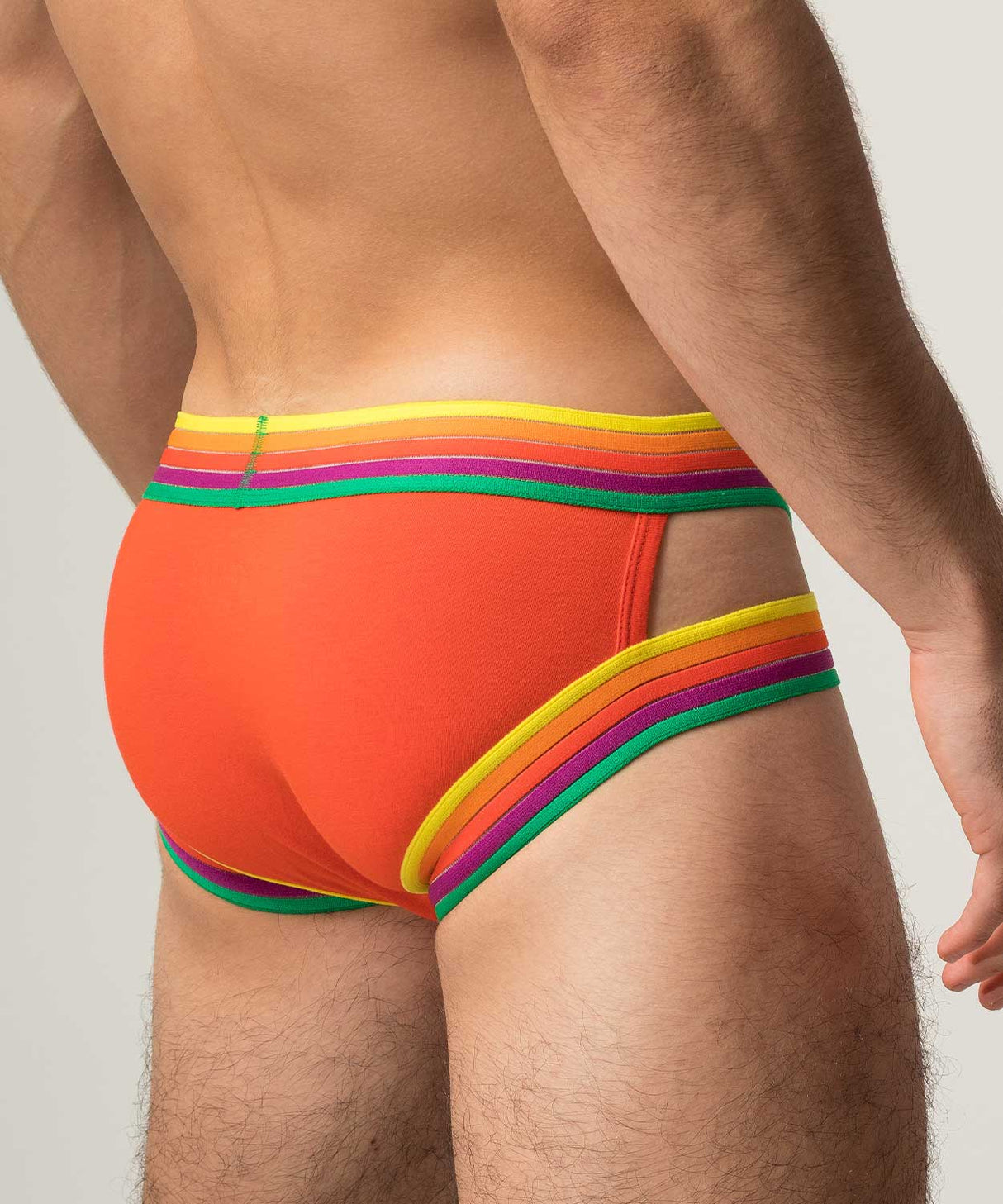 RAINBOW RUSH Lift Holster Brief
