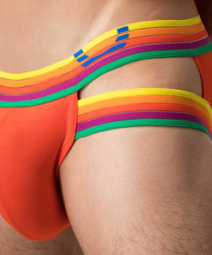 RAINBOW RUSH Lift Holster Brief