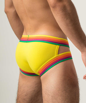RAINBOW RUSH Lift Holster Brief