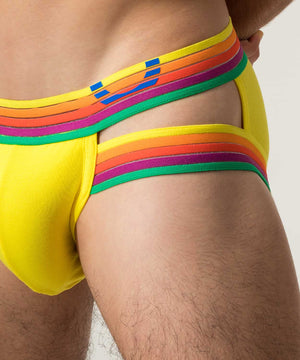 RAINBOW RUSH Lift Holster Brief