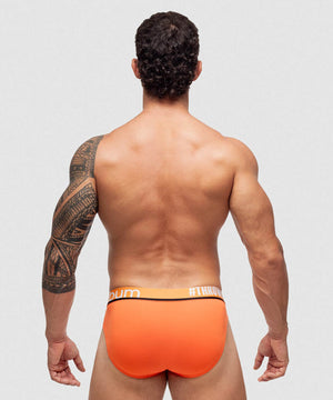 Brief