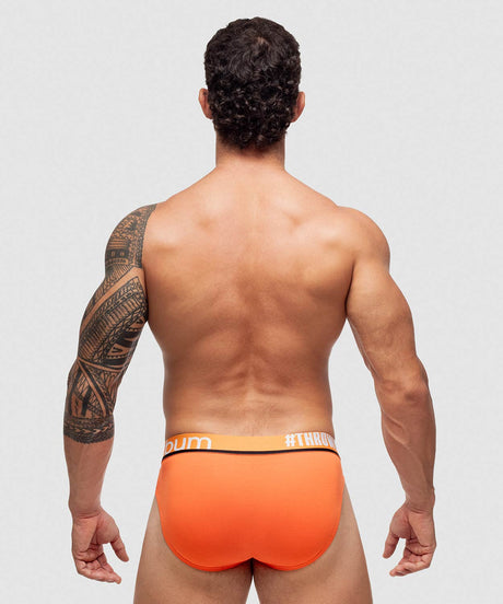 Brief