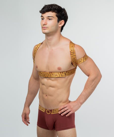 O MY GOD Posture Harness