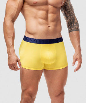 Boxer Trunk